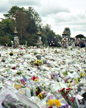 Death Of Diana Princess Of Wales Monarchy Of Britain Wiki Fandom