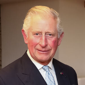 Charles Prince Of Wales Gallery Monarchy Of Britain Wiki Fandom