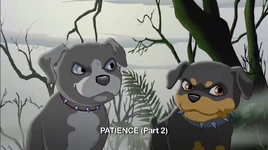 Part 2