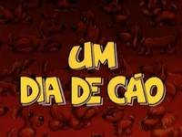 Um dia de cão
