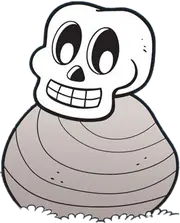 Cranicola transparente