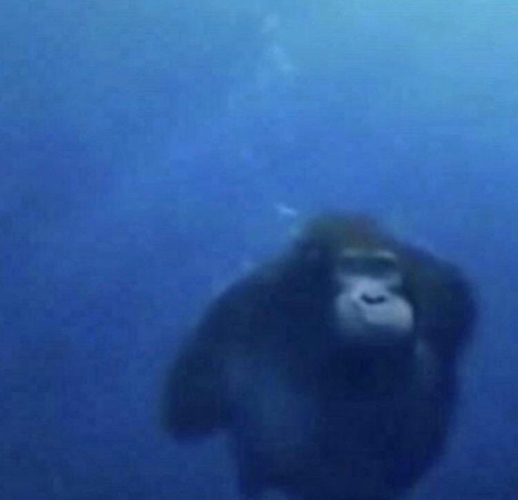 watery Monkey