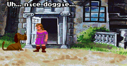 Guybrush nice dog