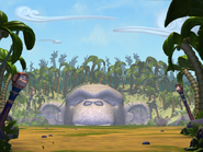 Monkey Head