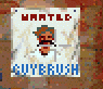 Wanted poster.png