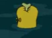 Murray's arm in the water