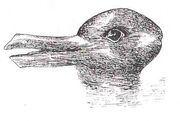 Image-Duck Rabbit illusion
