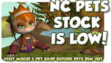 Low Pet Stock!