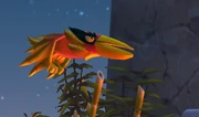 A Red Bombird