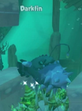 Darkfin pic.png
