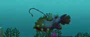 A Spinefish