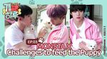 Puppy Day Ep.3 Thumbnail.jpg