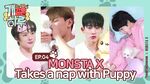 Puppy Day Ep.4 Thumbnail.jpg