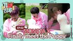 Puppy Day Ep.2 Thumbnail.jpg