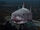 Brucetta the Shark