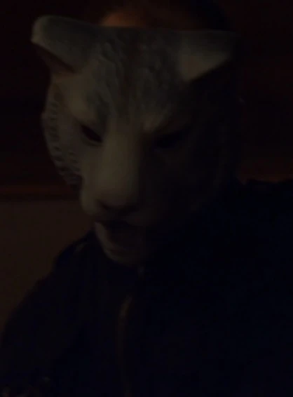 Youre Next Movie Mask