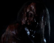 Victor Crowley 06