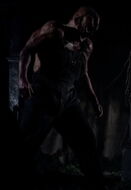 Victor Crowley 11