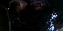 Freddy Krueger - Close up.jpg