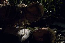 Husk-2011-Alex-Comstock
