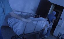 ArianaPet89