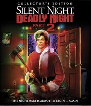 SNDN2Poster2