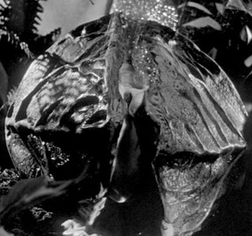 Body Snatchers | Monster and Slashers Wiki | Fandom
