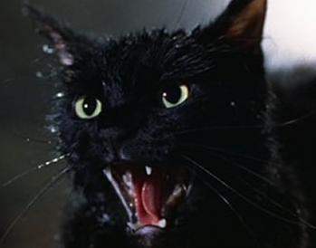 The Black Kitten, Creepypasta Wiki