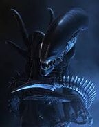 Xenomorph