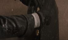 AdrianaPet68