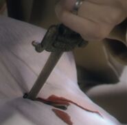 Stabbing Lily while Mr. Wriggles made him think she was his wife.