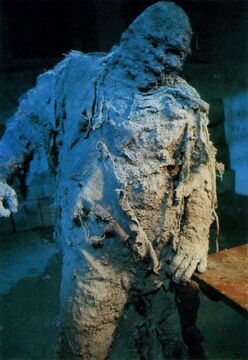 Muck men deals