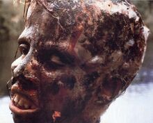 Jason66754.jpg