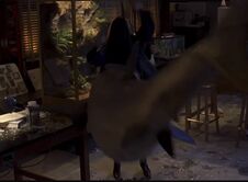 CherryFalls69