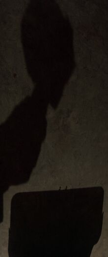 AdrianaPet111