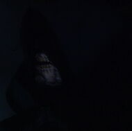 Grim Reaper 2007 04