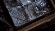 Jack's trophies.