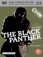 The Black Panther movie poster 03