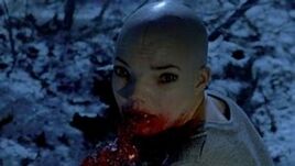 Dren