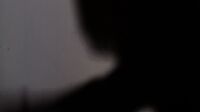Marlene37