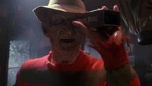 Freddy 4 Cockroach Squash.jpg