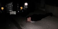 Marlene Death