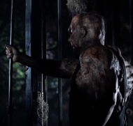 Victor Crowley 12