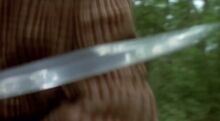Pamela Voorhees 11