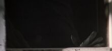 AdrianaPet99