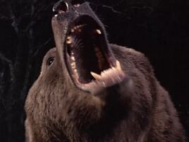 Grizzly000