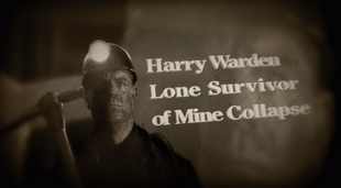 Remakeharrywarden 02.png