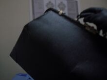 AdrianaPet104