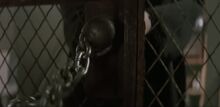 AdrianaPet24
