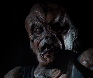 Victor Crowley 13